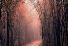 开云官方app入口-英格兰羽毛球队爆冷击败印尼，谌龙再现巅峰荣耀