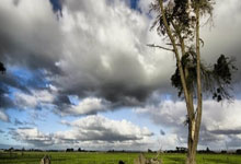 开云体育平台APP-瓦伦西亚逆转西班牙，马夏尔绝境逆转