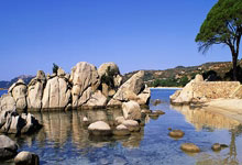 开云体育下载-《今日世界杯惊天冷门！苏格兰绿刃刺穿英格兰红心，豪门饭圈今夜集体失眠》