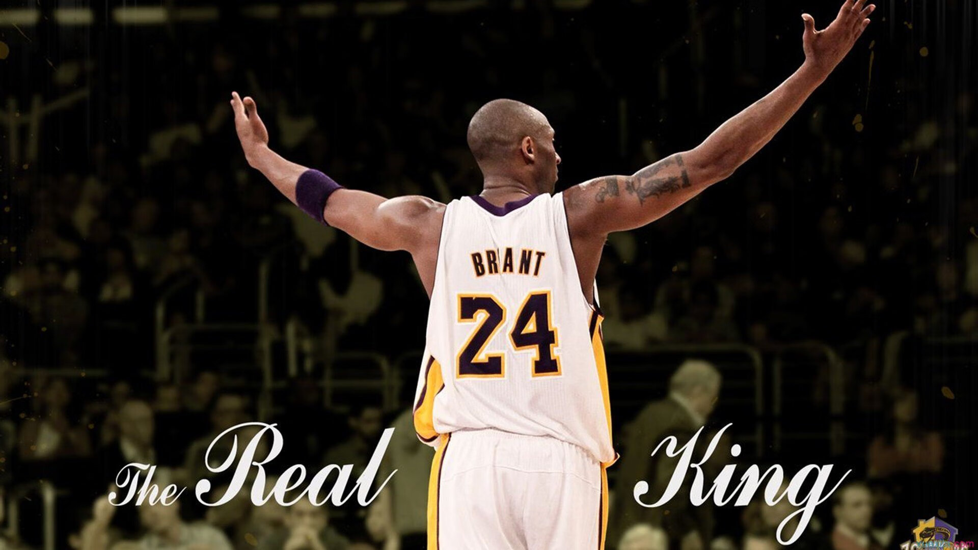 橙衣风暴席卷都灵，荷兰式压制与凯恩的致命一击，让尤文图斯早早坠入深渊